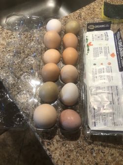 Farm fresh eggs