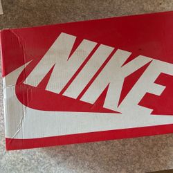 Nike Dunks