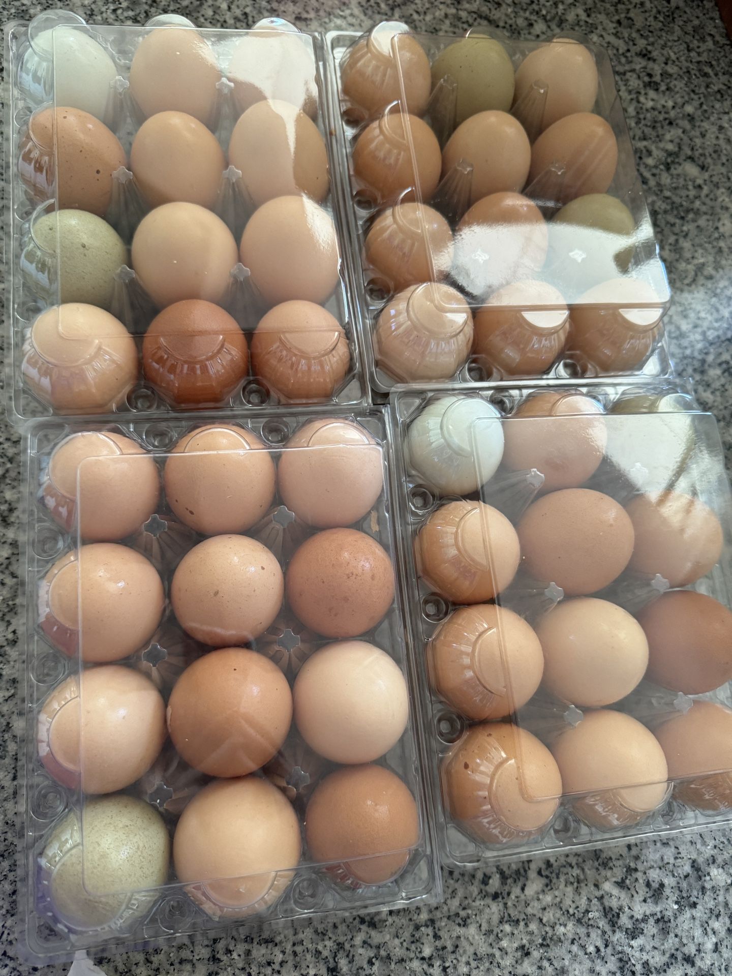 Organic Fresh Farm Eggs