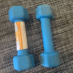 Set Of 2 Hand Weights 2 LB 