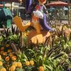 Jduckiep 