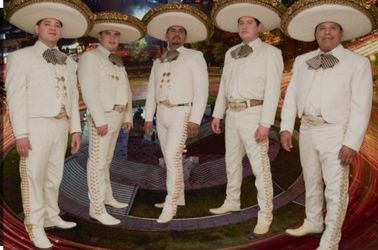 Guitarron Mariachi