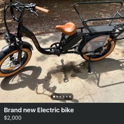 New Electric Bike 