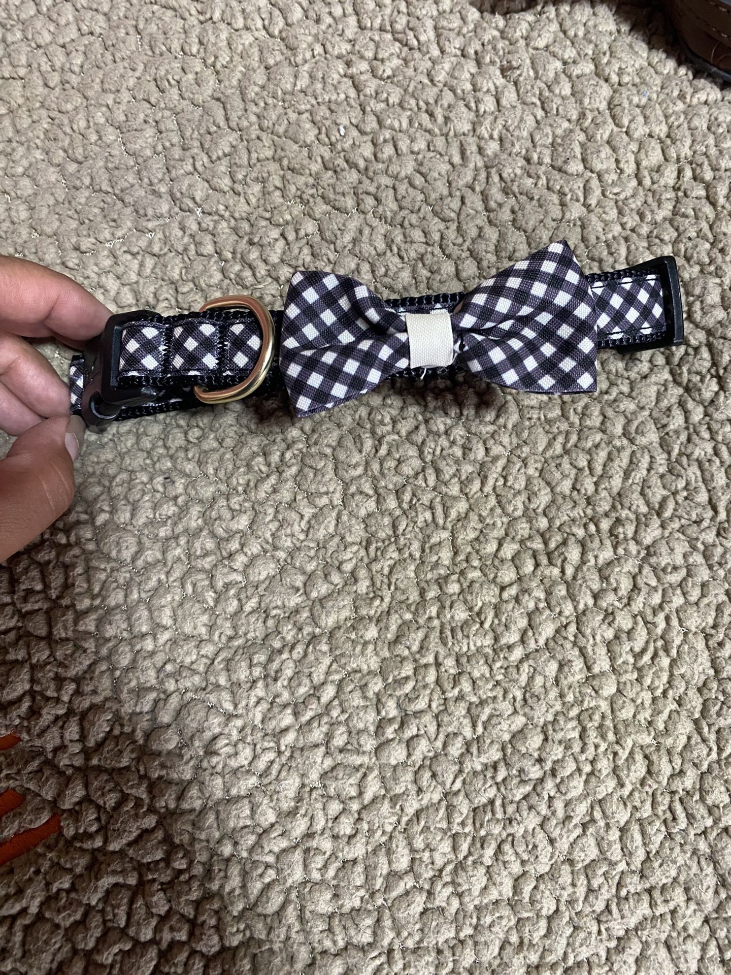 Small/Medium Dog Collar