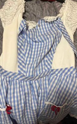 Dorothy Costume