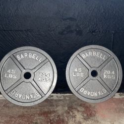 45 lbs Weights/Plates