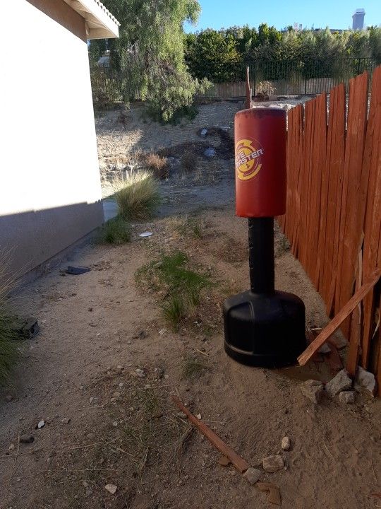 Punch Bag
