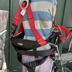 Tree Trimming Safety Belt 