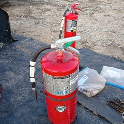 Buckeye 20 Lb Dry Chemical Fire Extinguisher 