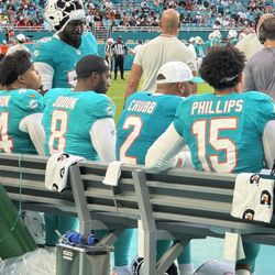 Dolphins On Field Passes-All Game