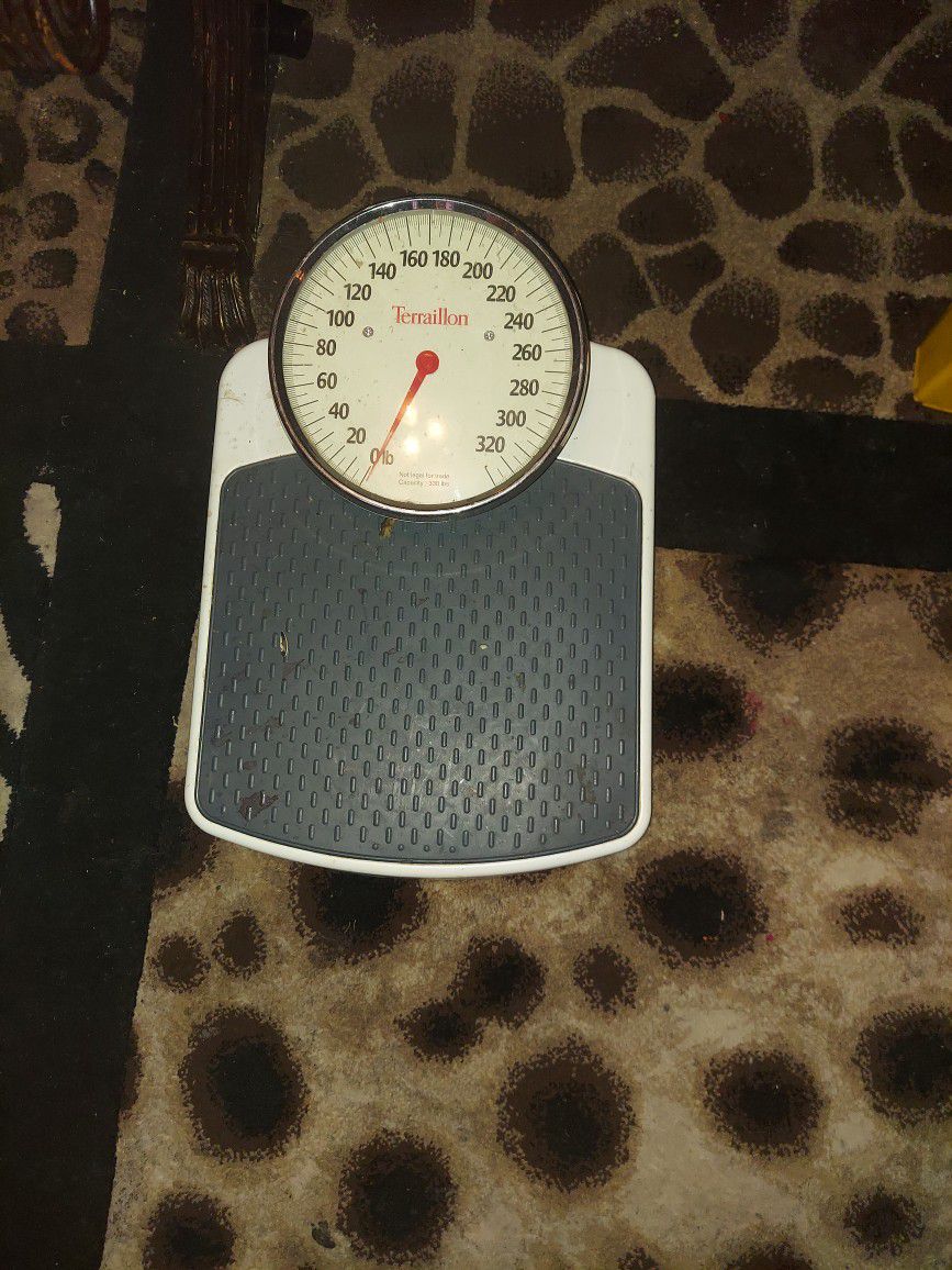 Weight  Scale 