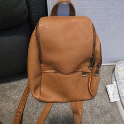 Brown Leather Backpack
