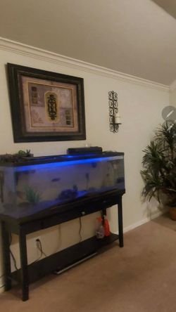 55 gallon tank ou