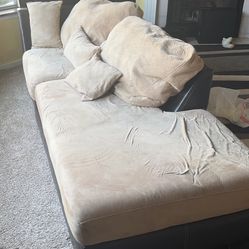 Free Dog Bed/couch