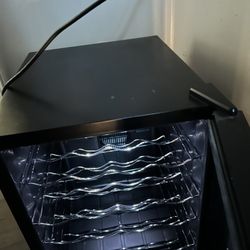 Wine Bottle Fridge 