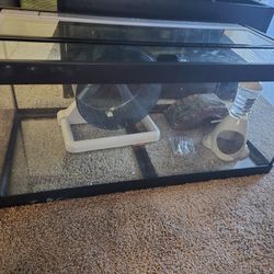 Fish Tank /guinie Pig/hamster/fish/ Snake