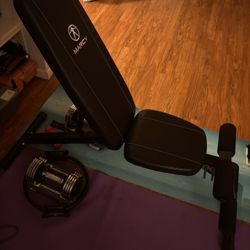 Adjustable Workout Bench