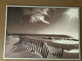Framed picture