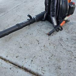 Echo Blower