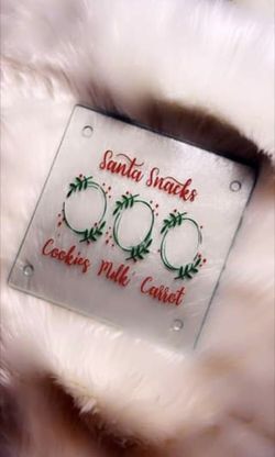 Santa cookie plate for Christmas!