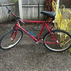 Mountain Bike