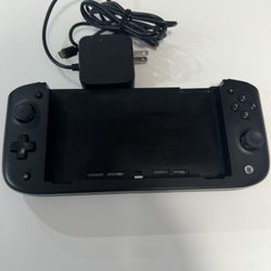 Nintendo Switch Controller 