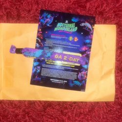 Nocturnal Wonderland 2 Day