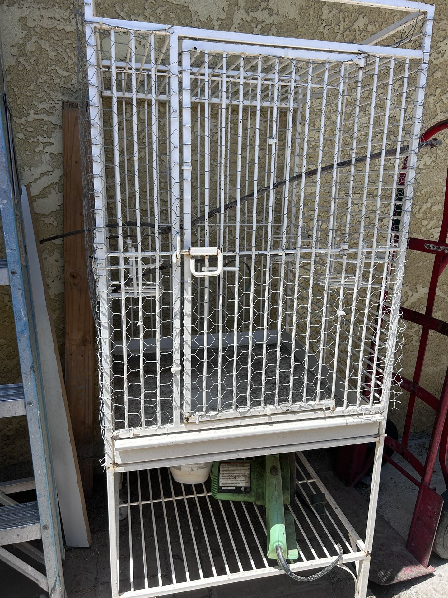 Bird Cage
