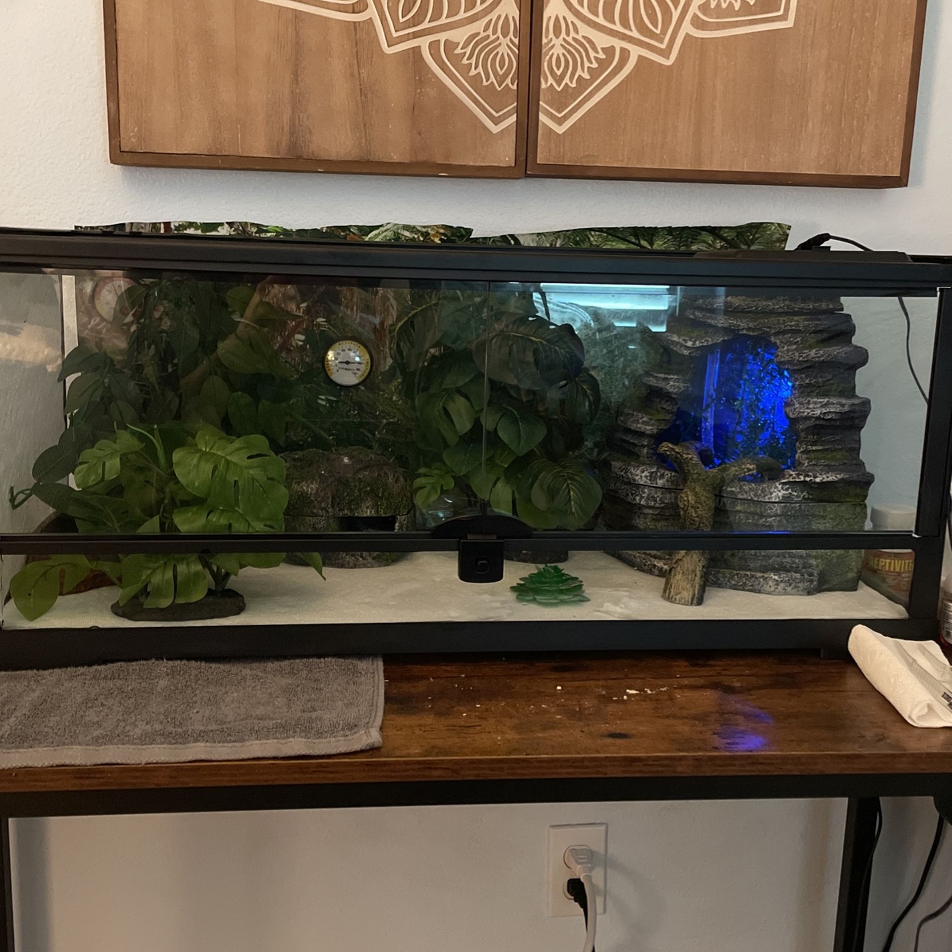 20 Gallon Thrive Reptile Tank