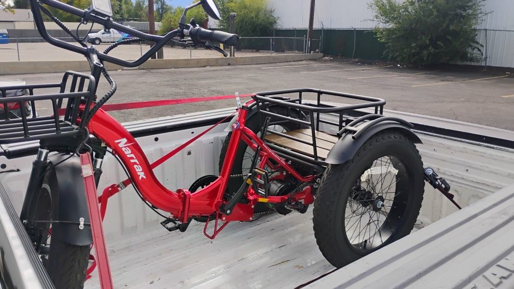 3 Wheel Electric E-trike