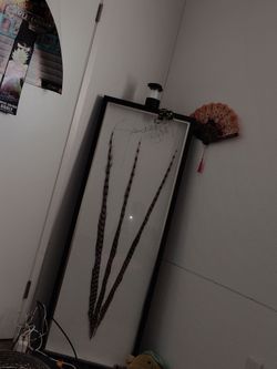 Glass ostrich feathers