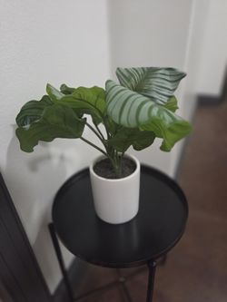 Medium Fake Plant