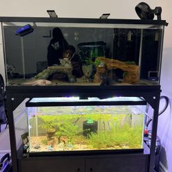Double Fish Tank Stand And Tanks