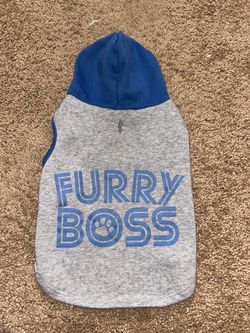 Dog hoodies