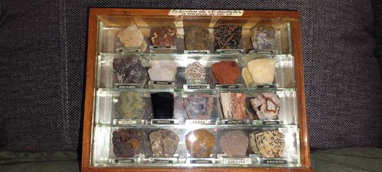 Mineral Collection Display Case – 20 Labeled Specimens