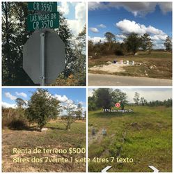 Terreno En Renta