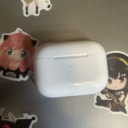 AirPods Pro 2 Case Only