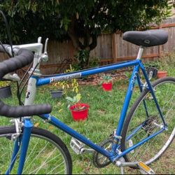 Vintage 1985 Bridgestone 300 Racing Bicycle - Perfect Condition