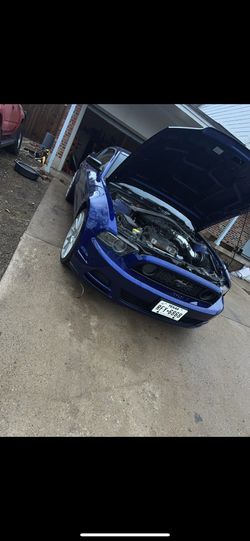 2013 Ford Mustang