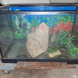 Aquarium Tank