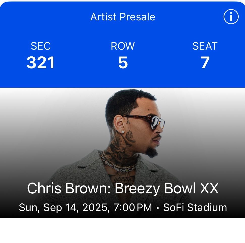 Chris Brown Concert 