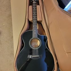 Taylor 214ce-blk Delux Acoustic Guitar 