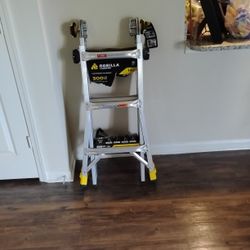 Mini Ladder 