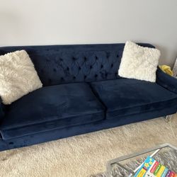 Velvet Blue Couch Set