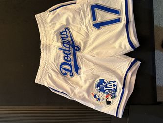 Embroidered Baseball Short 