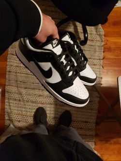 Size 12 Sneaker Collection