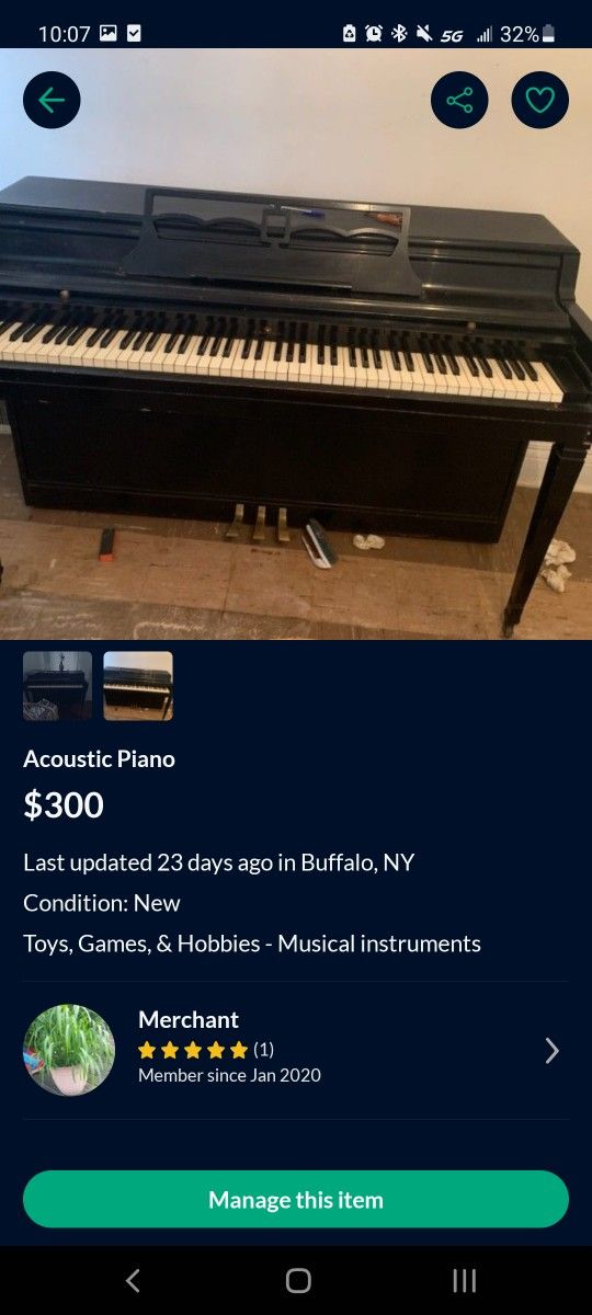 Wurlitzer Professional Piano