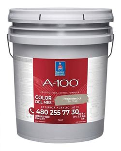 Pintura