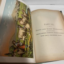 Antique farming/Livestock Cyclopedia 1884