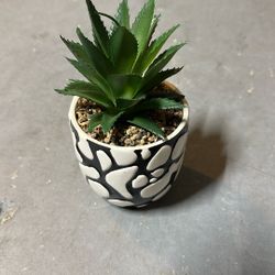 Small Fake Plant 🪴 